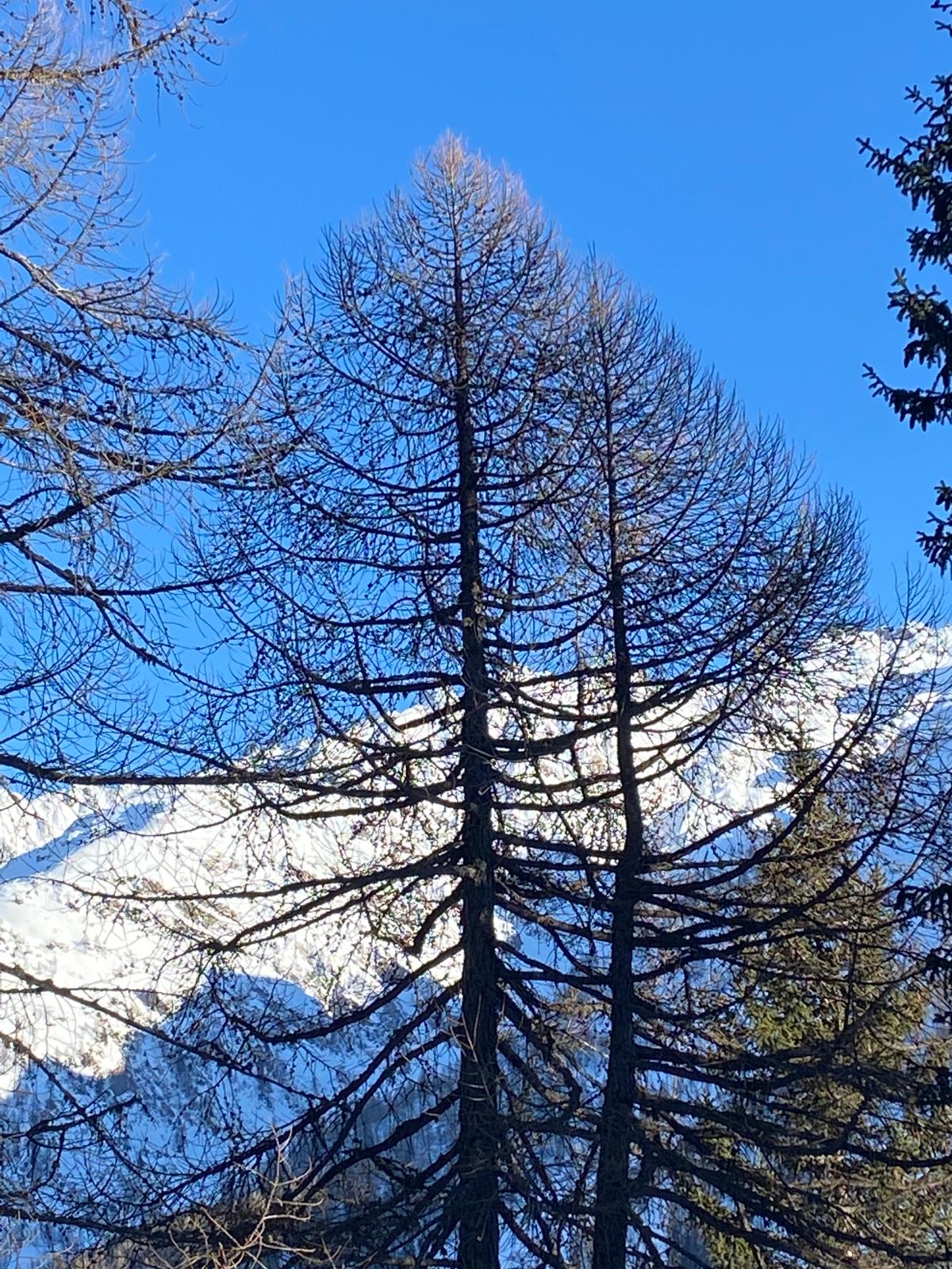 Poncione Val Piana,